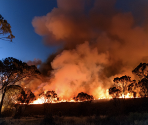Australian bush fire at Night